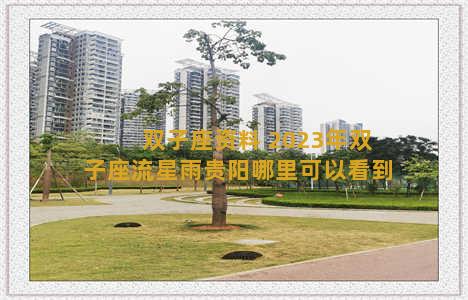 双子座资料 2023年双子座流星雨贵阳哪里可以看到